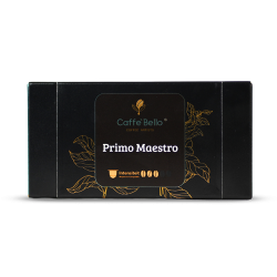 Primo Maestro 1 capsouls